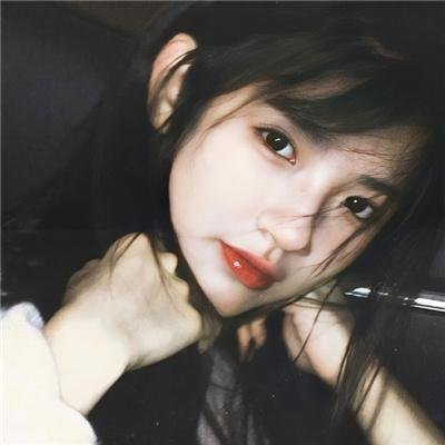 野生动物园浪漫之旅